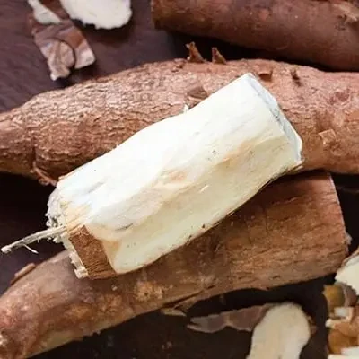 BEST QUALITY LOWEST PRICE DRIED TAPIOCA FOR ANIMAL FEED VIETNAM ORIGIN WS 84982069121