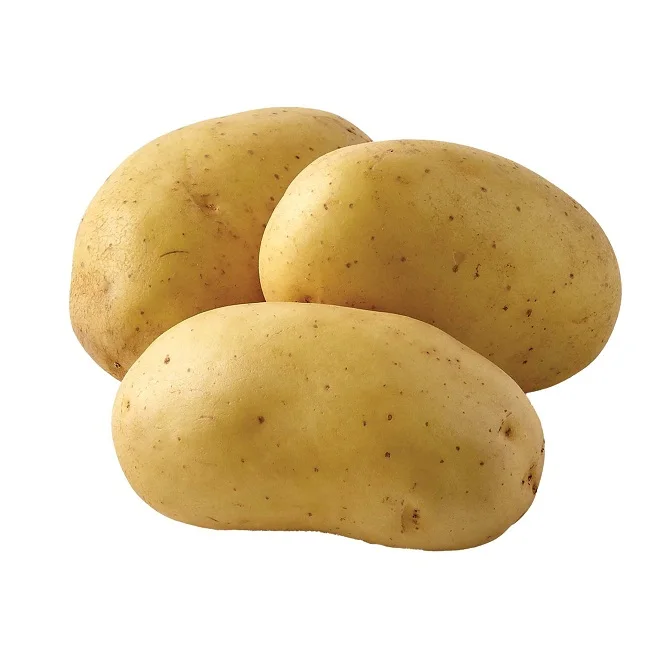 High quality 100% Organic fresh Potatoes from USA