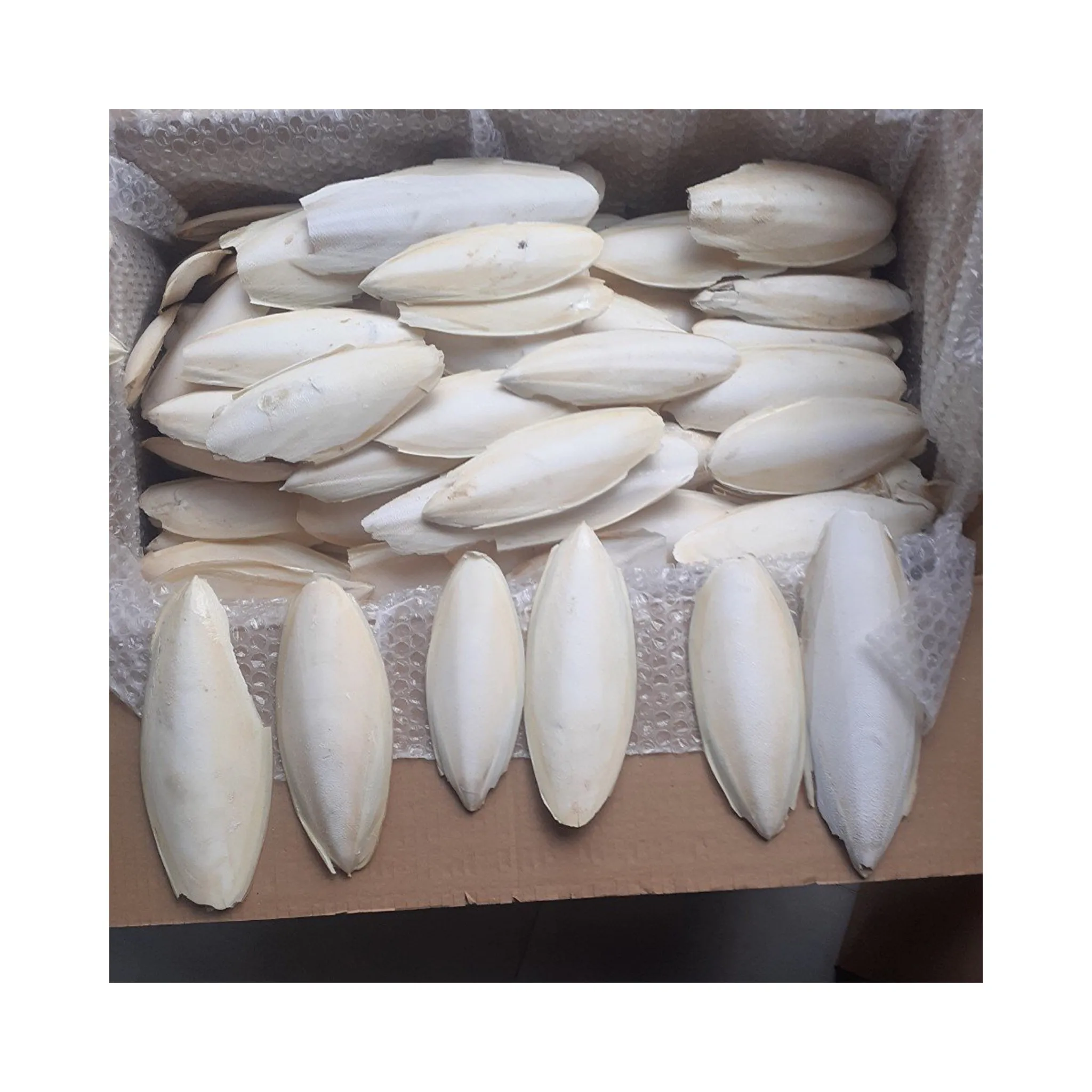 Unbleached Dried Cuttlefish Bone Mineral For Birds And Reptiles Bird Food Clean Trimmed Cuttlebone Vietnam Ossa Sepia