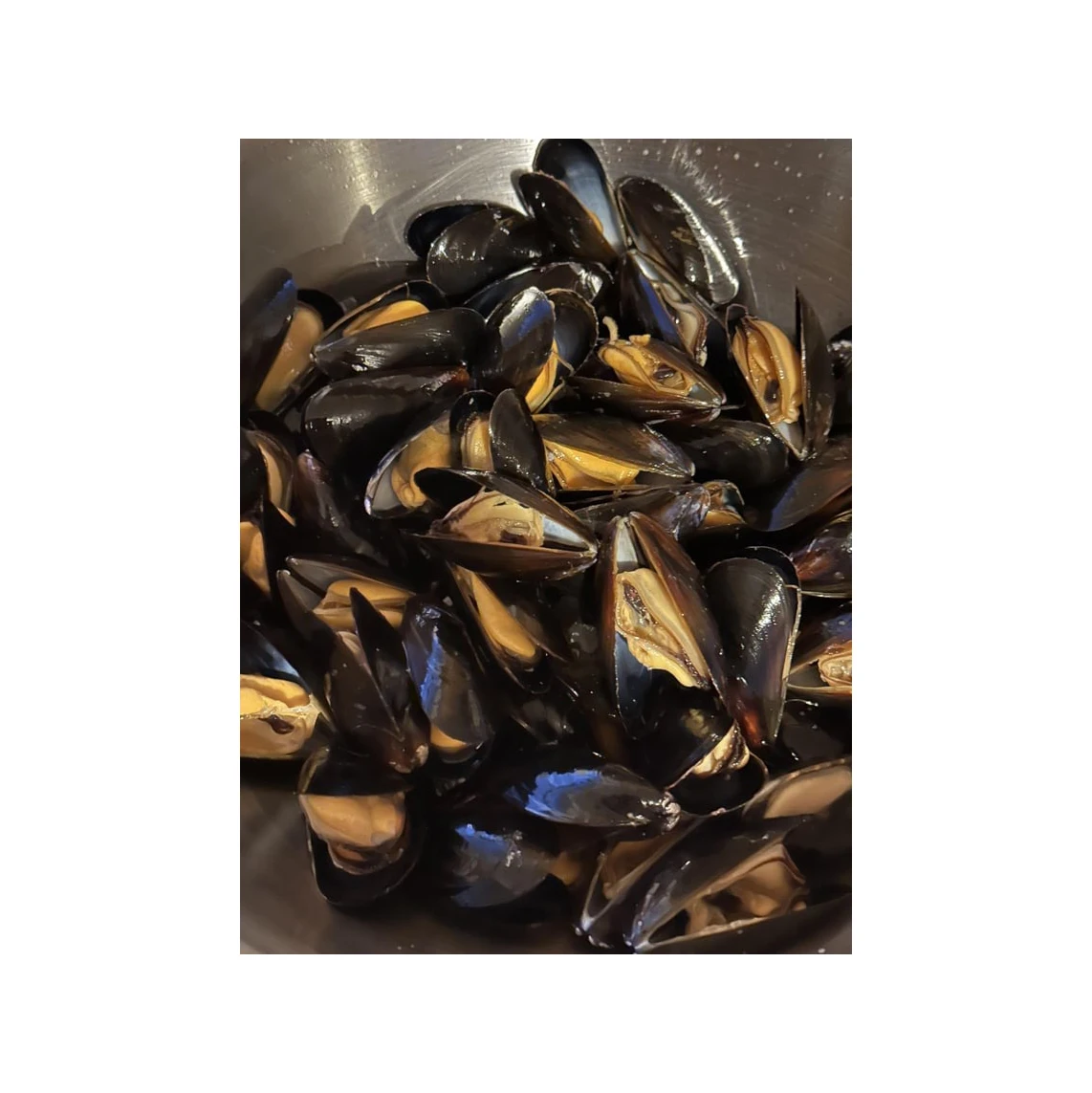 Low price seafood shellfish frozen half shell mussel