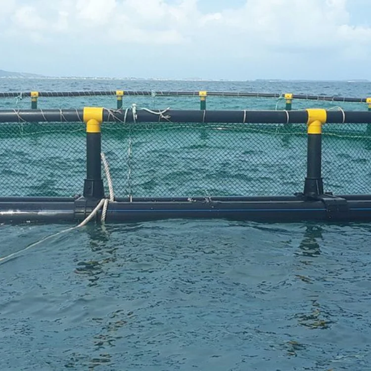 Fish Cage Aquaculture Farming Hdpe Fish Farming Cage Floating For Pisciculture Agricultural Equipment Fish Farm made in Viet Nam