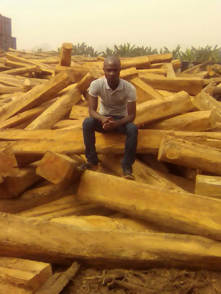 Timber Raw Materials & Logs Wood For Sale
