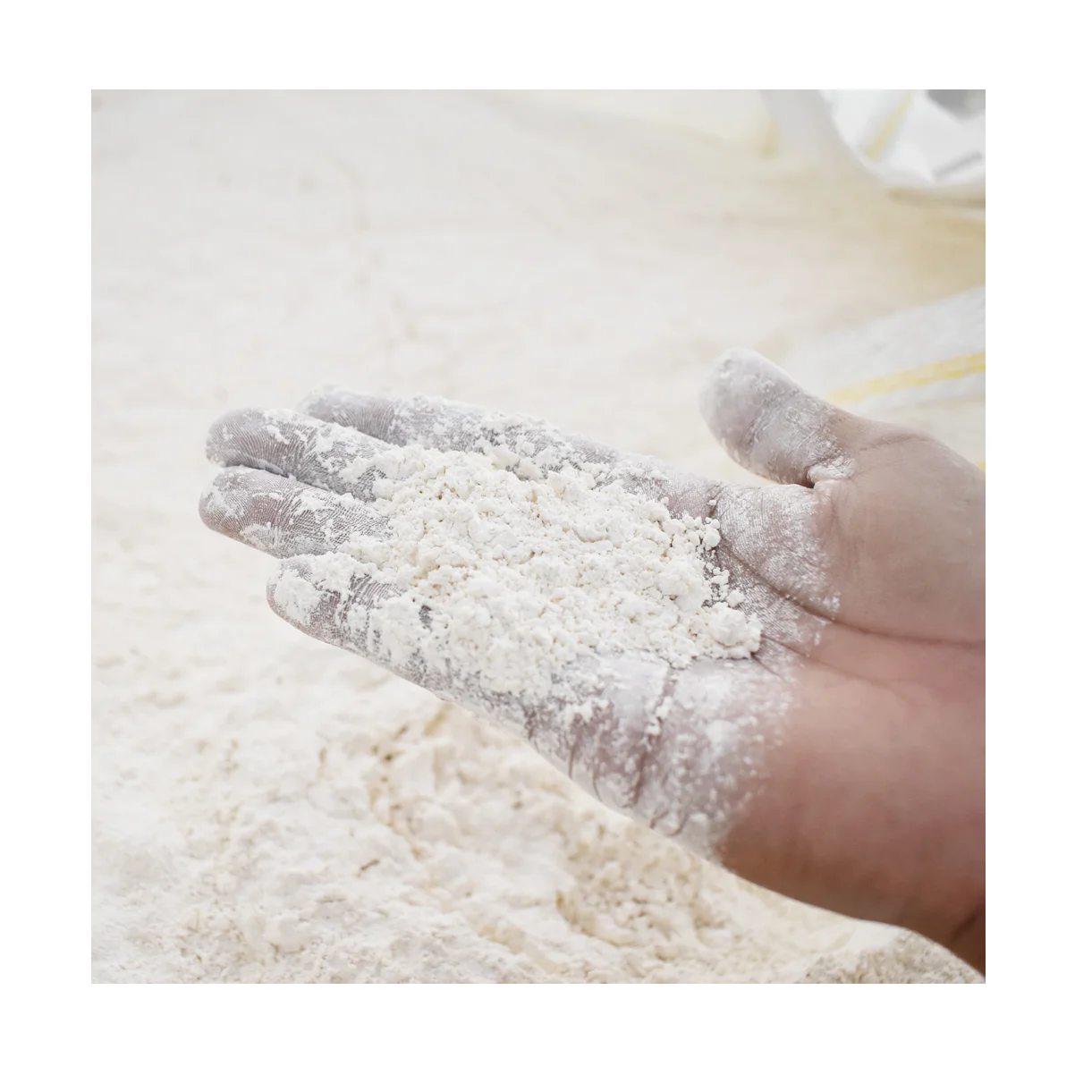 Wholesale 2022 from Vietnam for lime stone powder nano calcium carbonated good grade Caco3 powder no.3