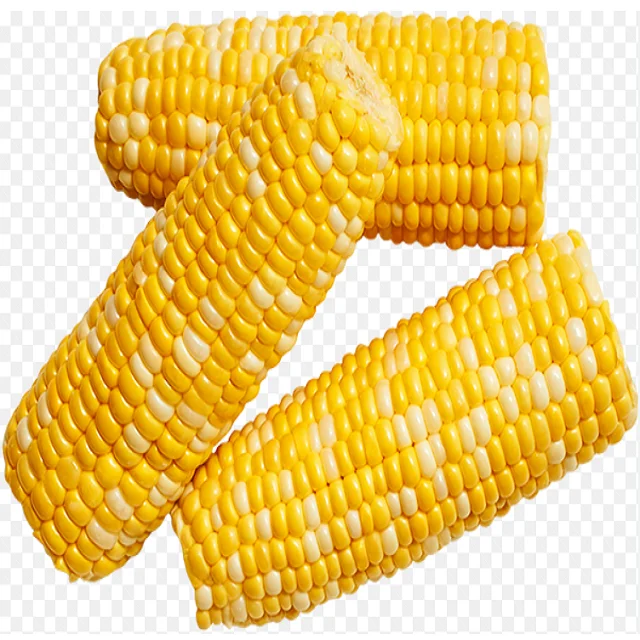 In Stock Fresh Organic Yellow Corn Maize Best Price Buy Bulk 50 kg Sweet Corn Seed Fast Delivery Available Now
