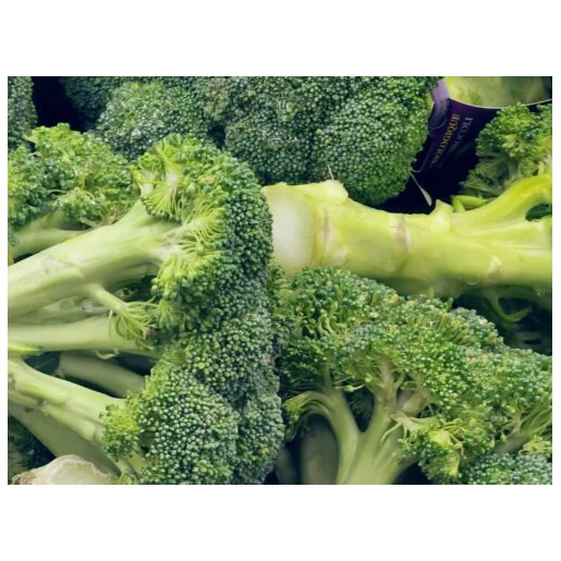 IQF Frozen Vegetable High Quality Cleaning Fresh Broccoli Wholesale Fresh Broccoli good price quality bulk Wholesale bulk