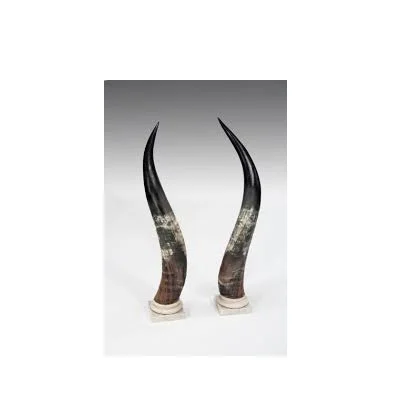 Natural pairs horn customized size cheap price and black and knob and look design piece and natural craft