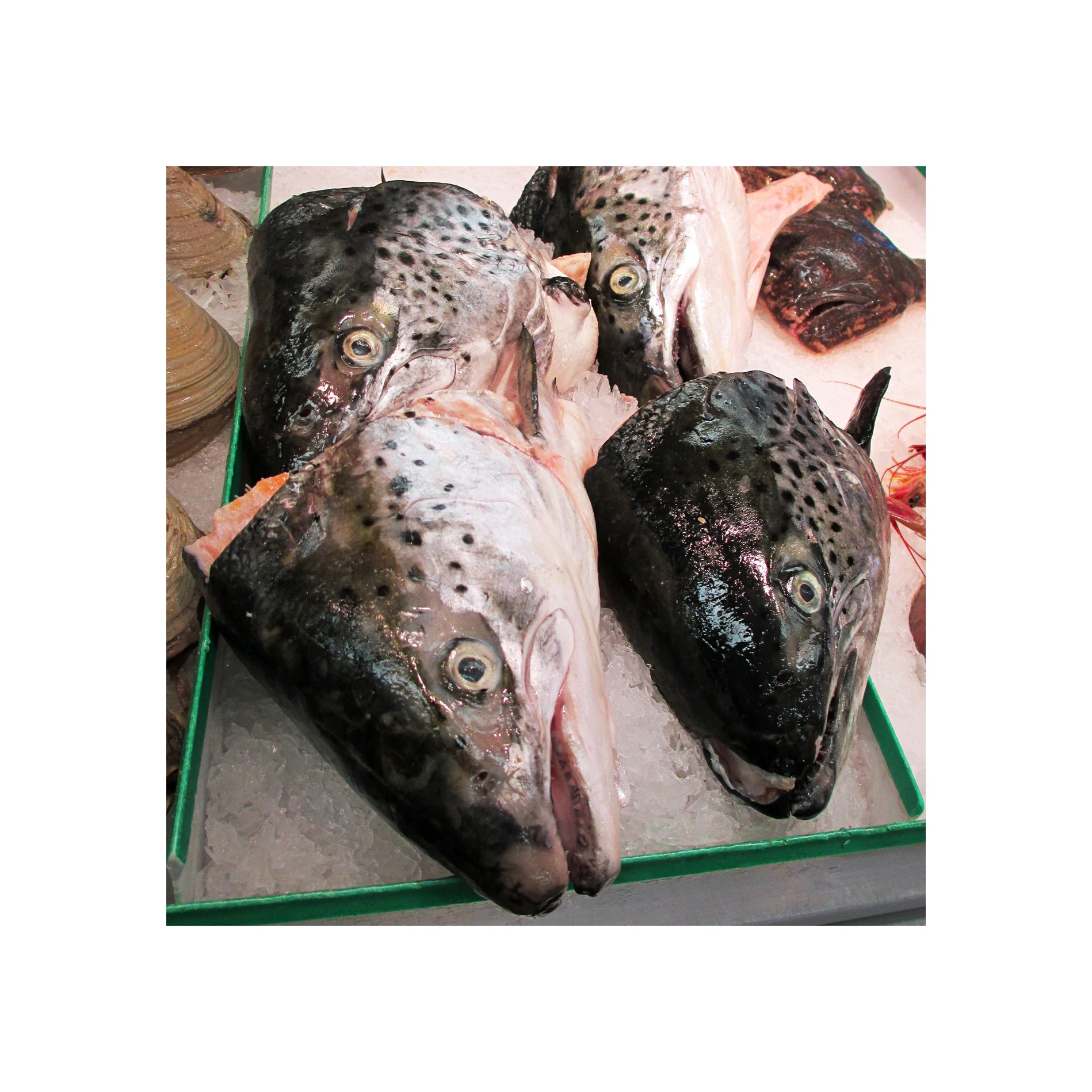 Frozen Cod Heads 100% Export Quality Salmon Fish