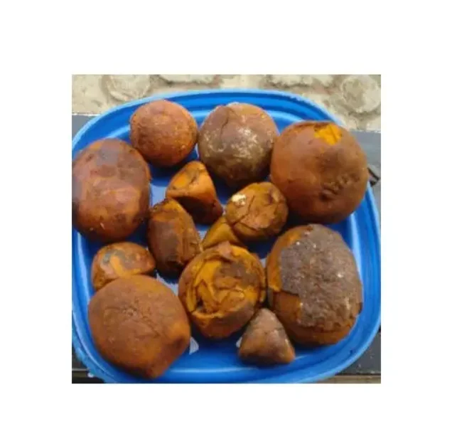 South Africa Natural and Pure top Quality Ox Gallstones Cattle Gallstones Cow Gallstones Animal feed for sale