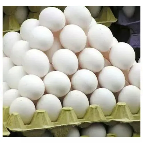 Оптовая продажа свежих белых куриных