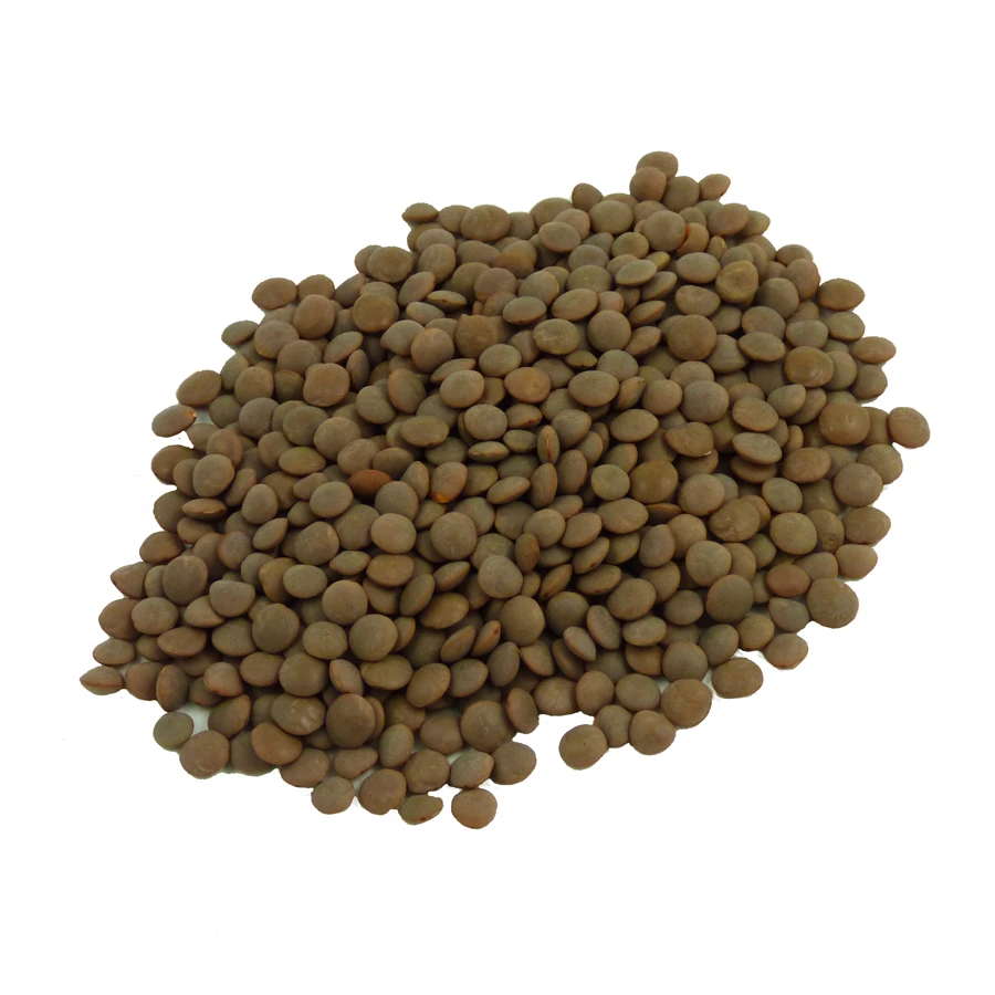 New Product Quality Red Lentils/Green Lentils/ Yellow Lentils