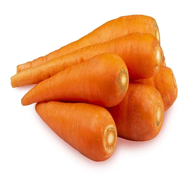 Fresh organic vegetables wholesale carrot Good price carrots available for export