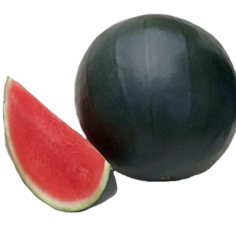 Экспорт сахара арбуза для детей в упаковке