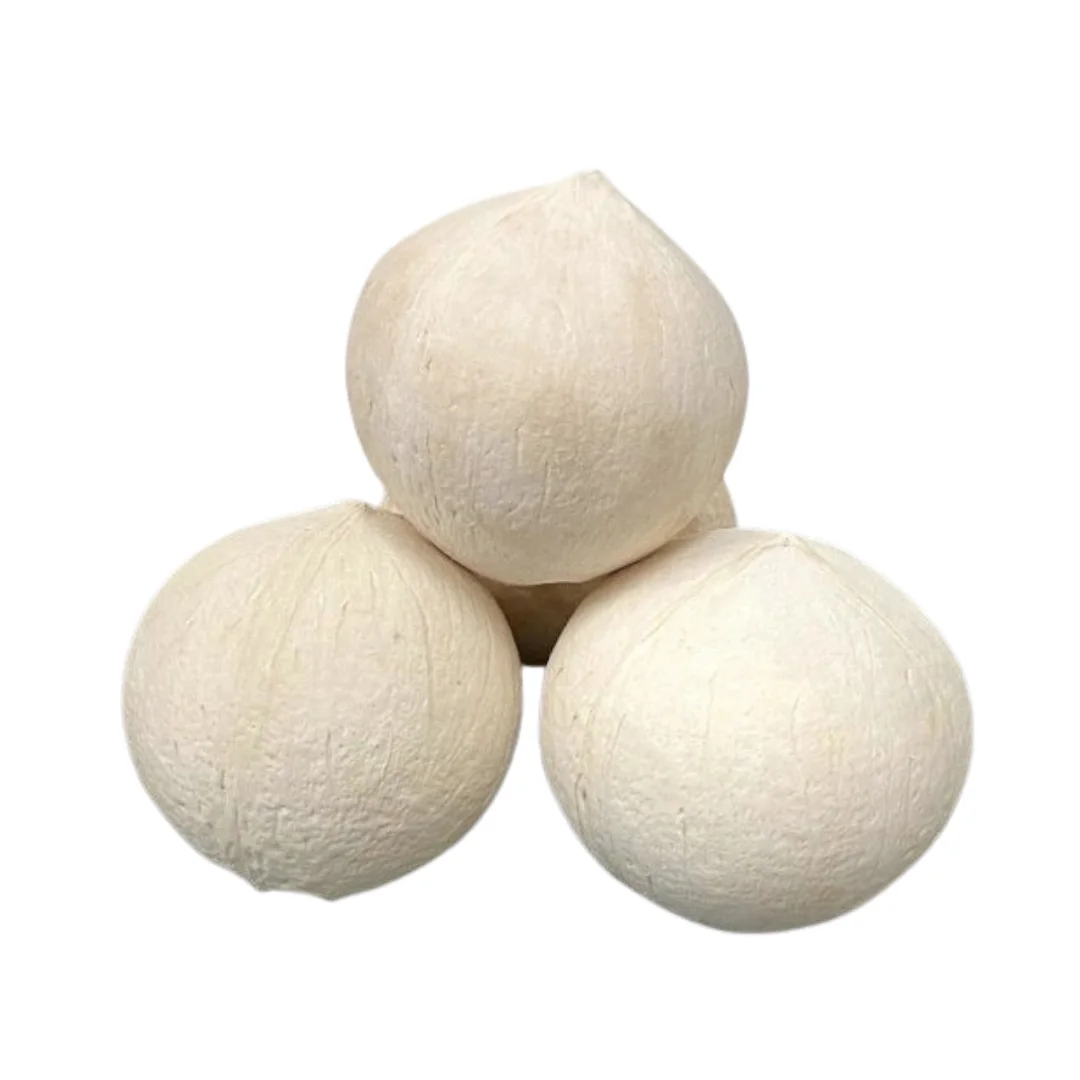 Wholesale Coconut Water Tropical High Quality Semi-Husked Siames Type Cheap Fresh Coconuts Vietnam Wholesale Whole Style