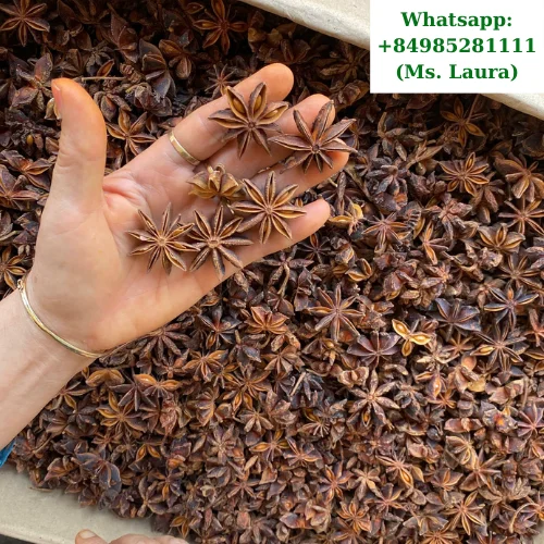 Осенний и весенний Звездный анис высокого качества от Вьетнама WhatsApp + 84 985281111