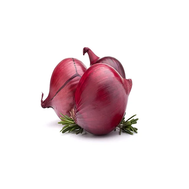 Best Offers Natural Grade Fresh Red Onion with Customized Size Packing For Food Making Uses By Exporters
