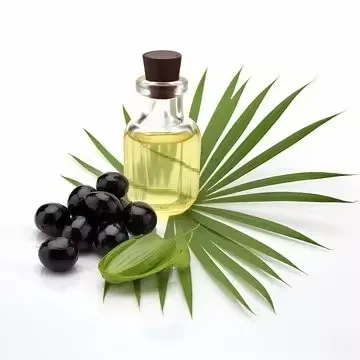 Wholesale Packaging Cold Pressed Private Logo Saw Palmetto Hair Growth Logo Customization Sabal Serrulata Oil for Body Massage