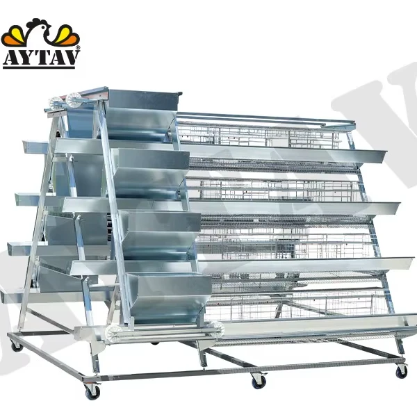 A-Type Chicken Cage System Aycage Best Quality Max Productivity Automatic Steel Layer Cage for Farms New Condition