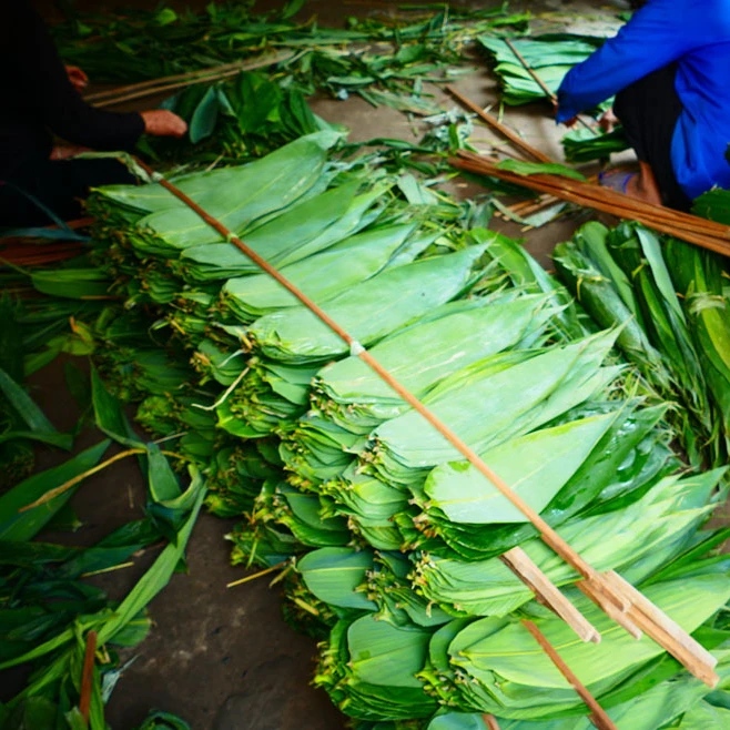Vietnam Wholesale Dried Zongzi Leaves Bamboo Leaves Bamboo Eco-friendly Material Big Size with Competitive Price