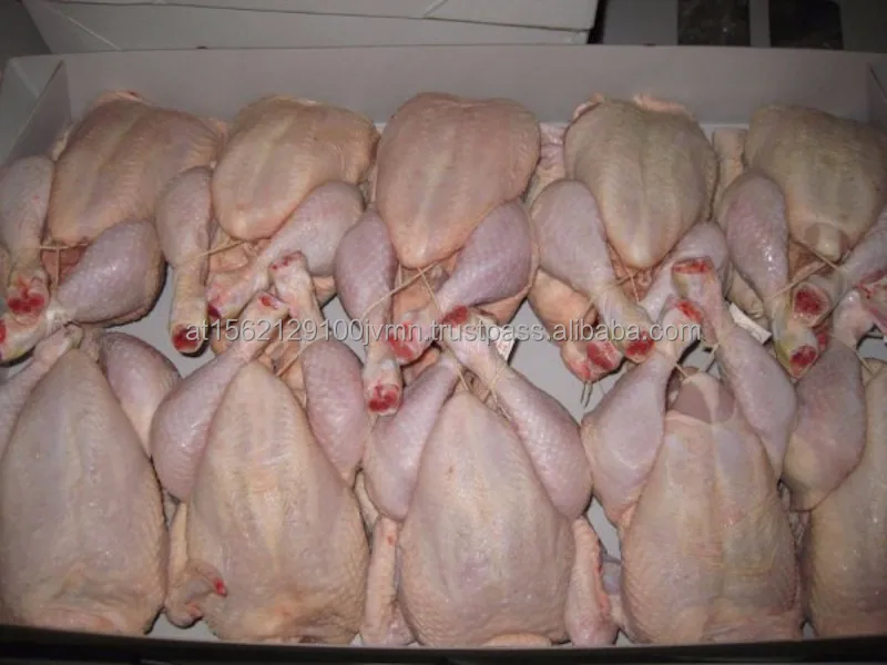 frozen chicken20.jpg