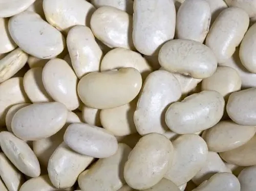 Dried  Lima Beans