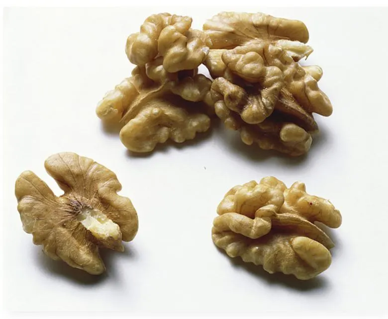 Top Quality Walnut Kernels Natural Drying