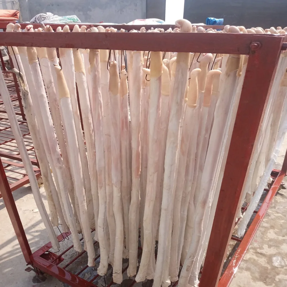 Beef Penis Best Quality Processing Super fresh Best quality Frozen Beef Pizzle  Bull Pizzle For Sale Cheap Price from Bangladesh