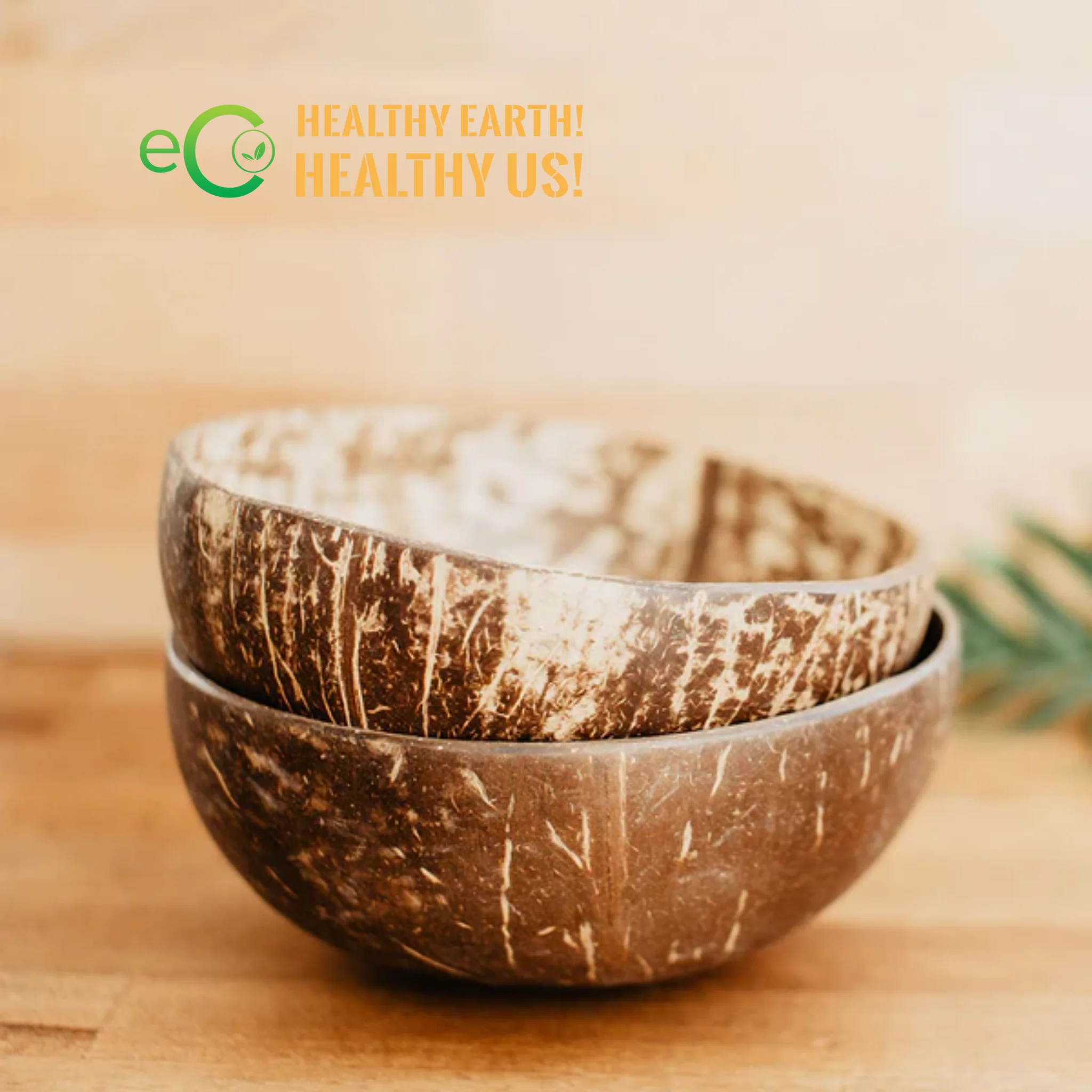 Wholesale Handmade Coconut Shell Bowl From Small to Jumbo High Quality Eco Friendly Bowls for Ice Cream and Fruit Salad