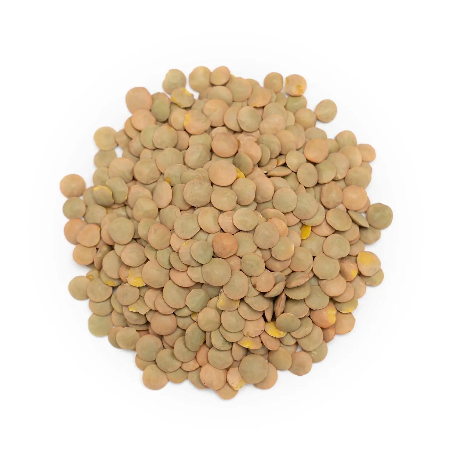 Hot Selling Price Organic Red Lentils / Split Red Lentils in Bulk