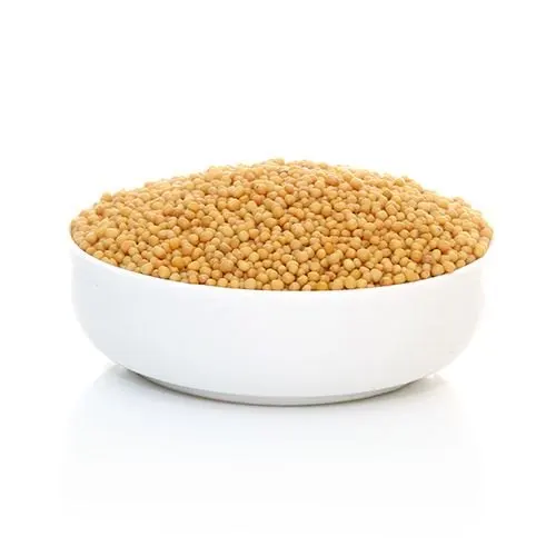 Yellow Mustard Seed