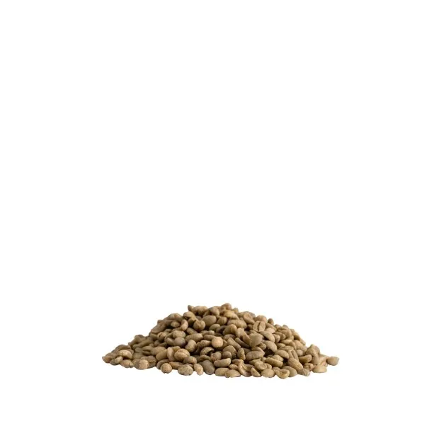 Premium Quality Peru Cafe Femenino Certified Cocoa Nutty Arabica Green Coffee Beans 1 kg bag Green Coffee Beans For Wholesale