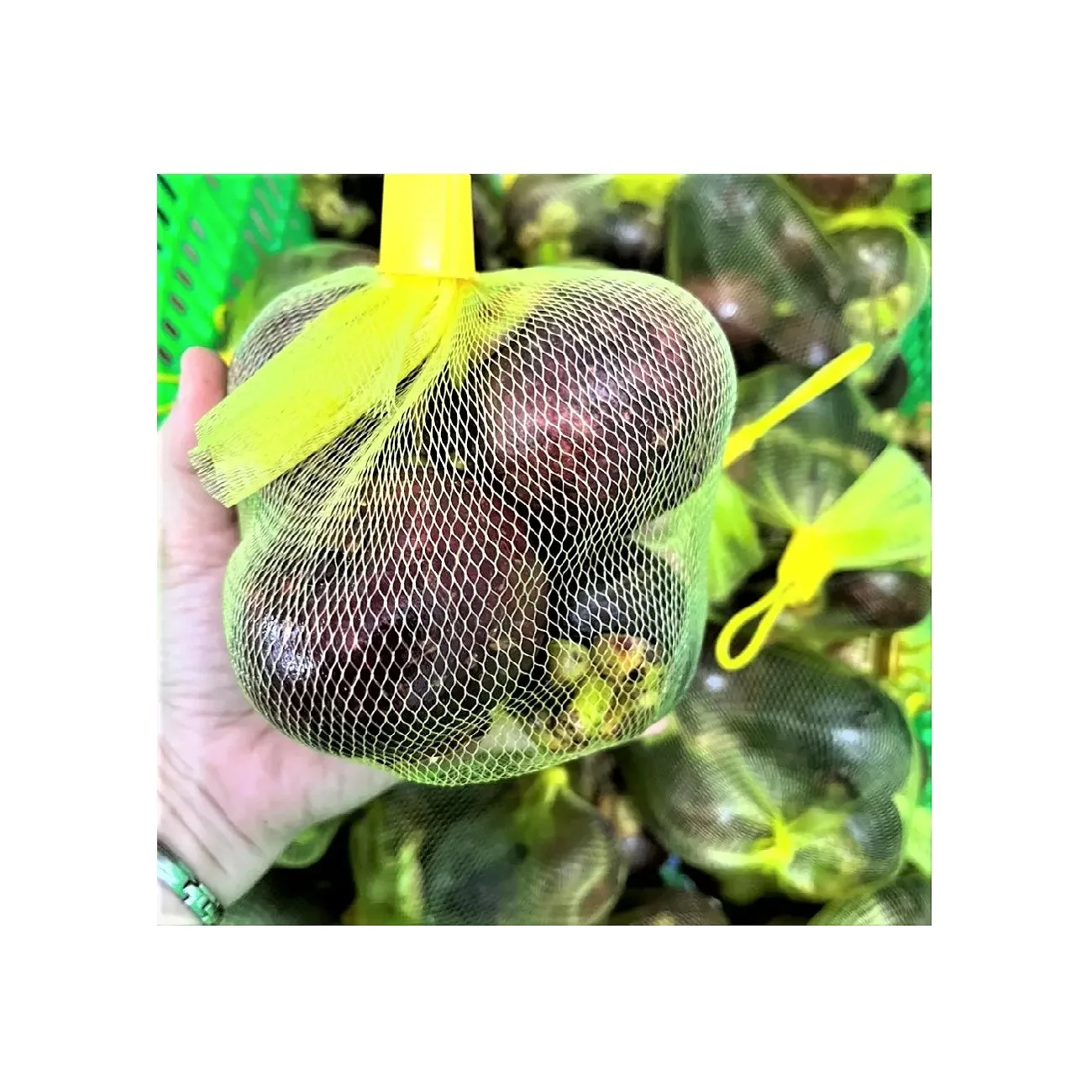 Frozen Preserved Fruits Wholesale High Quality Vietnam Export Frozen Mangosteens With Long Shelf Life