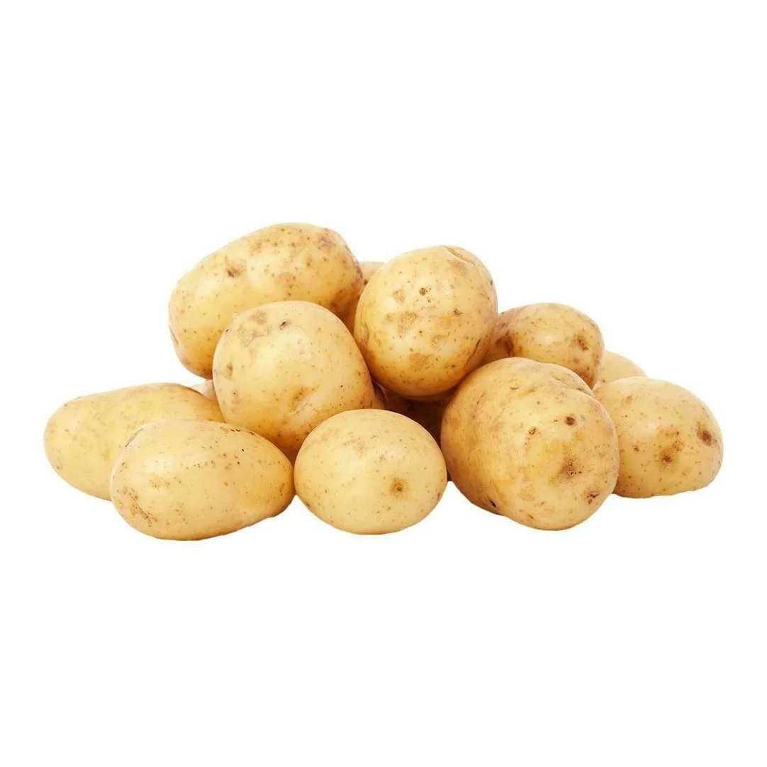 potatoes supplier fresh potatoes style organic weight origin type shape size product  quality New Harvest  Exporters ready