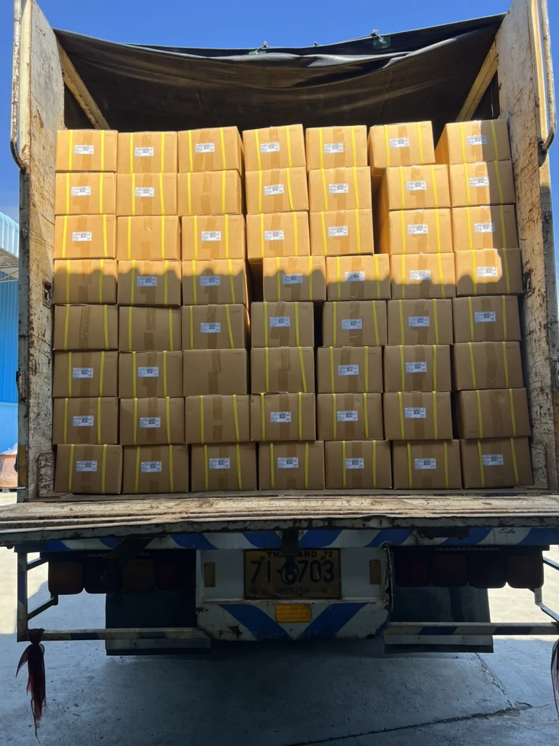 Wholesaler Dried mango package in bulk 20 kg box