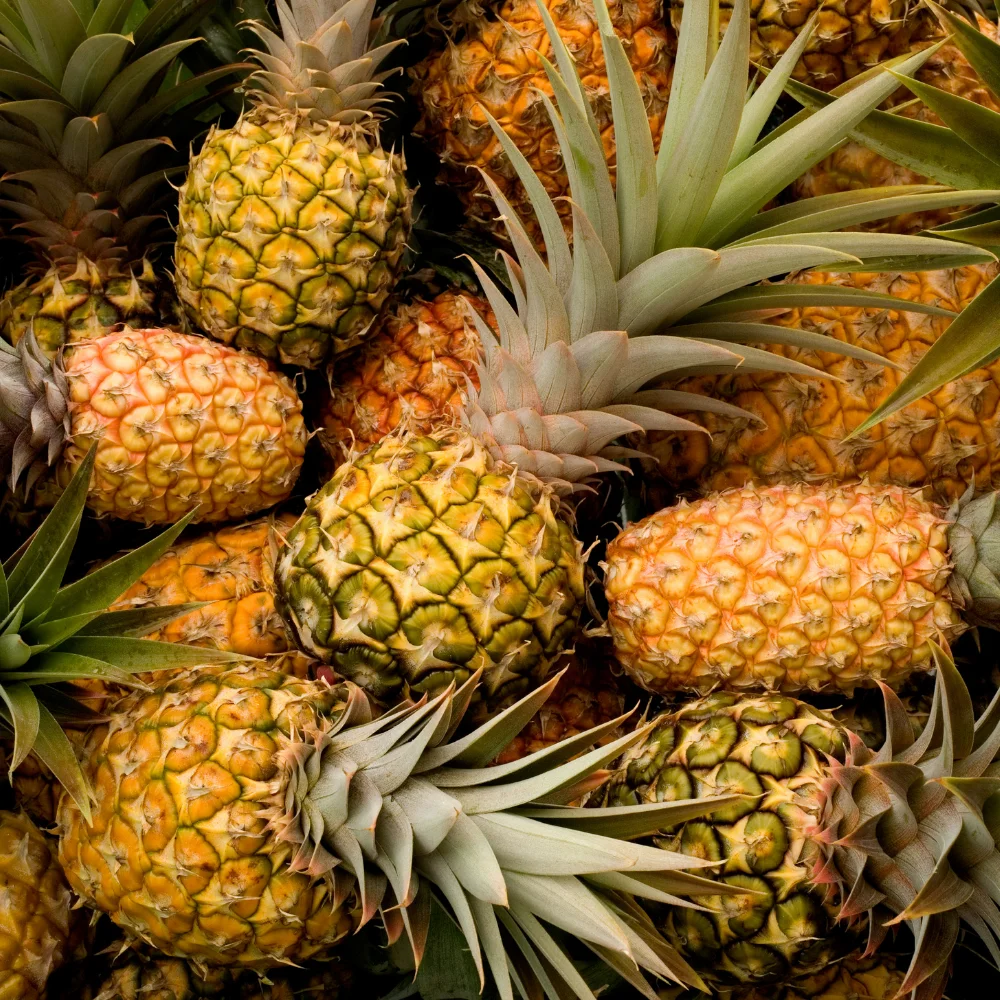 Высококачественный свежий ананас, оптовая продажа, вьетнамский яблок, Лучшая цена на вкусные тропические фрукты, новейший урожай