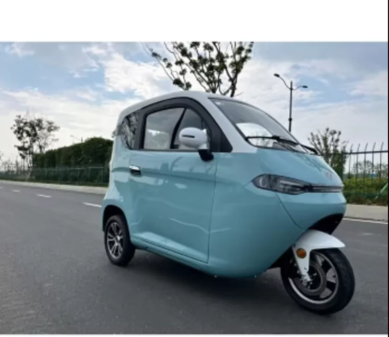 100% New Arrival Adult Electric Tricycle Vehicle 3 Wheels Family Mobility Scooter Tuk Tuk Car For Sale Customizable