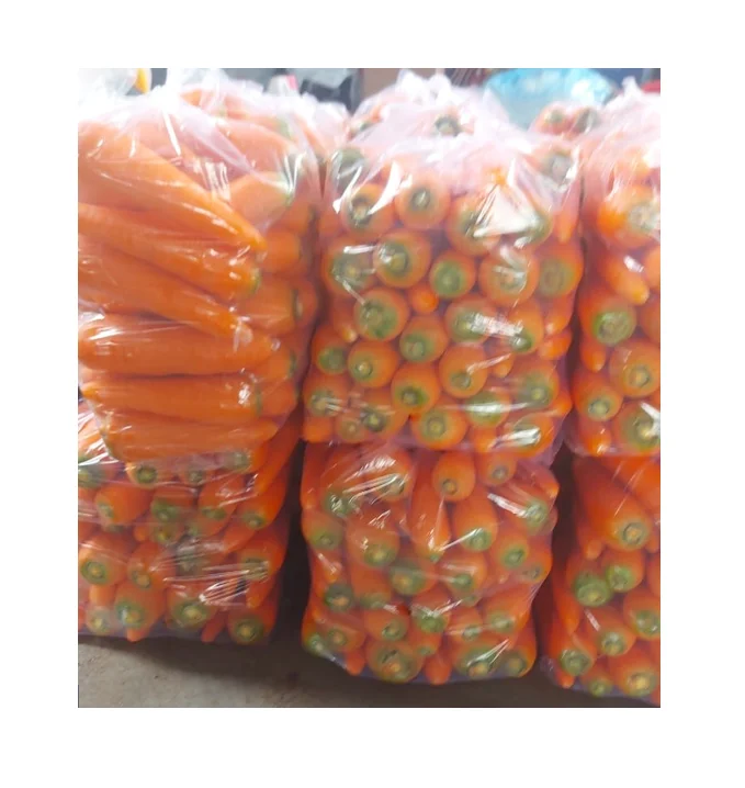 Wholesales fresh carrot various sizes to choose - Reliable Vietnamese Supplier - Long Shelf Life