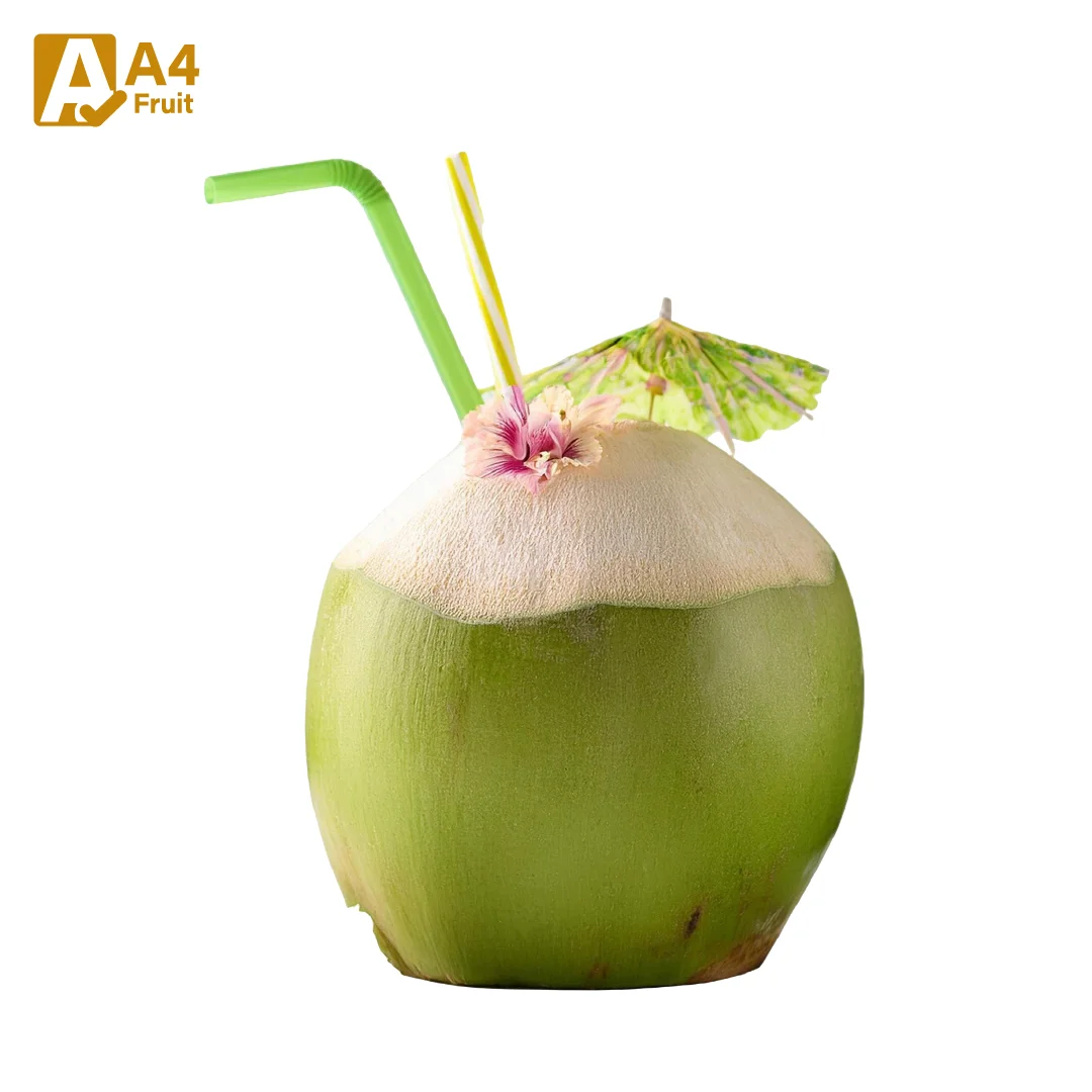 Refresh with Thai Young Coconut Handpicked Fresh Whole Coconut with Refreshing Water Soft Meat and Shell Rich in Fruit Pulp