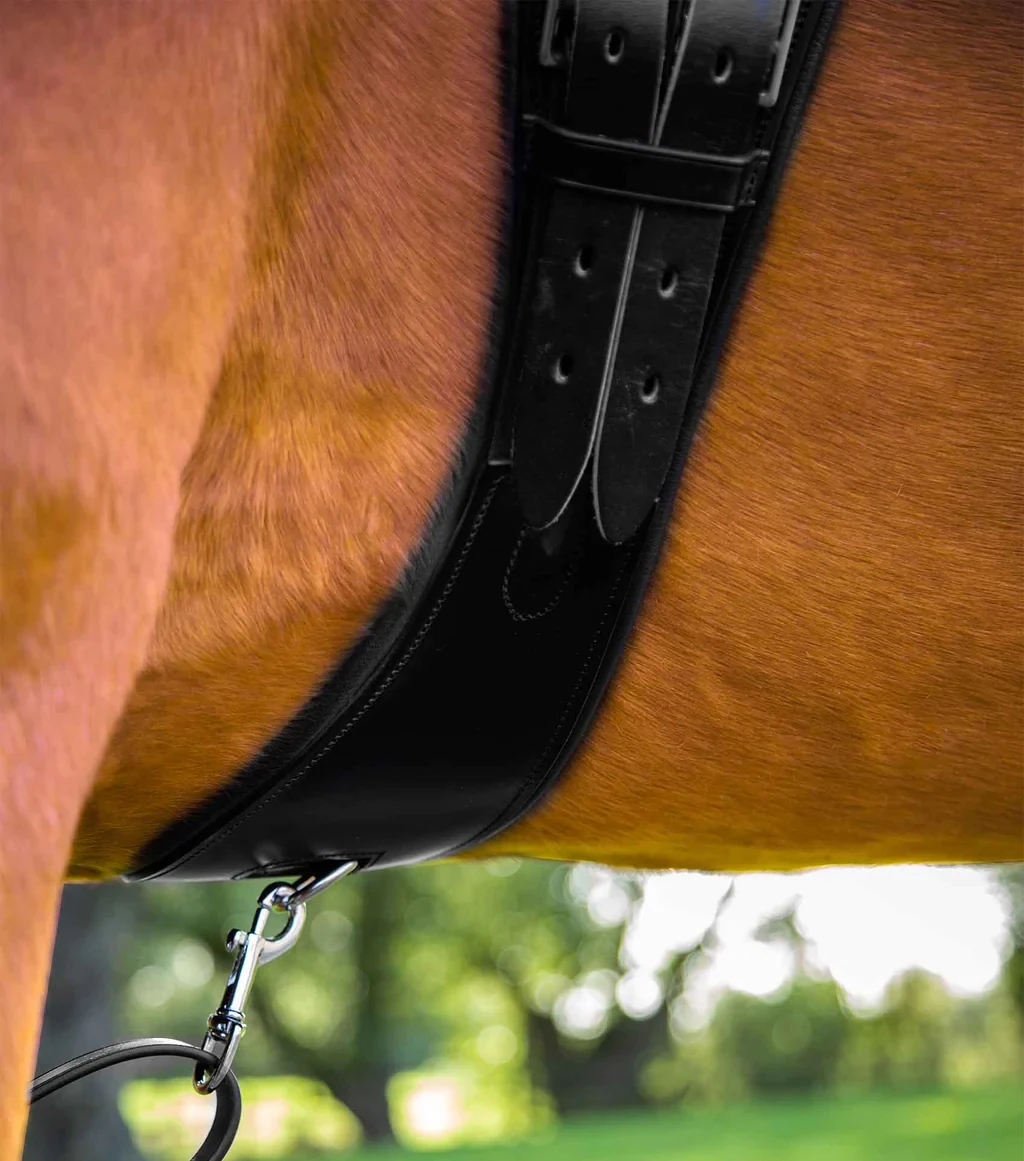 Standard Quality Italian Leather Construction Horse Girth With Specifically Designed for Dressage Saddle