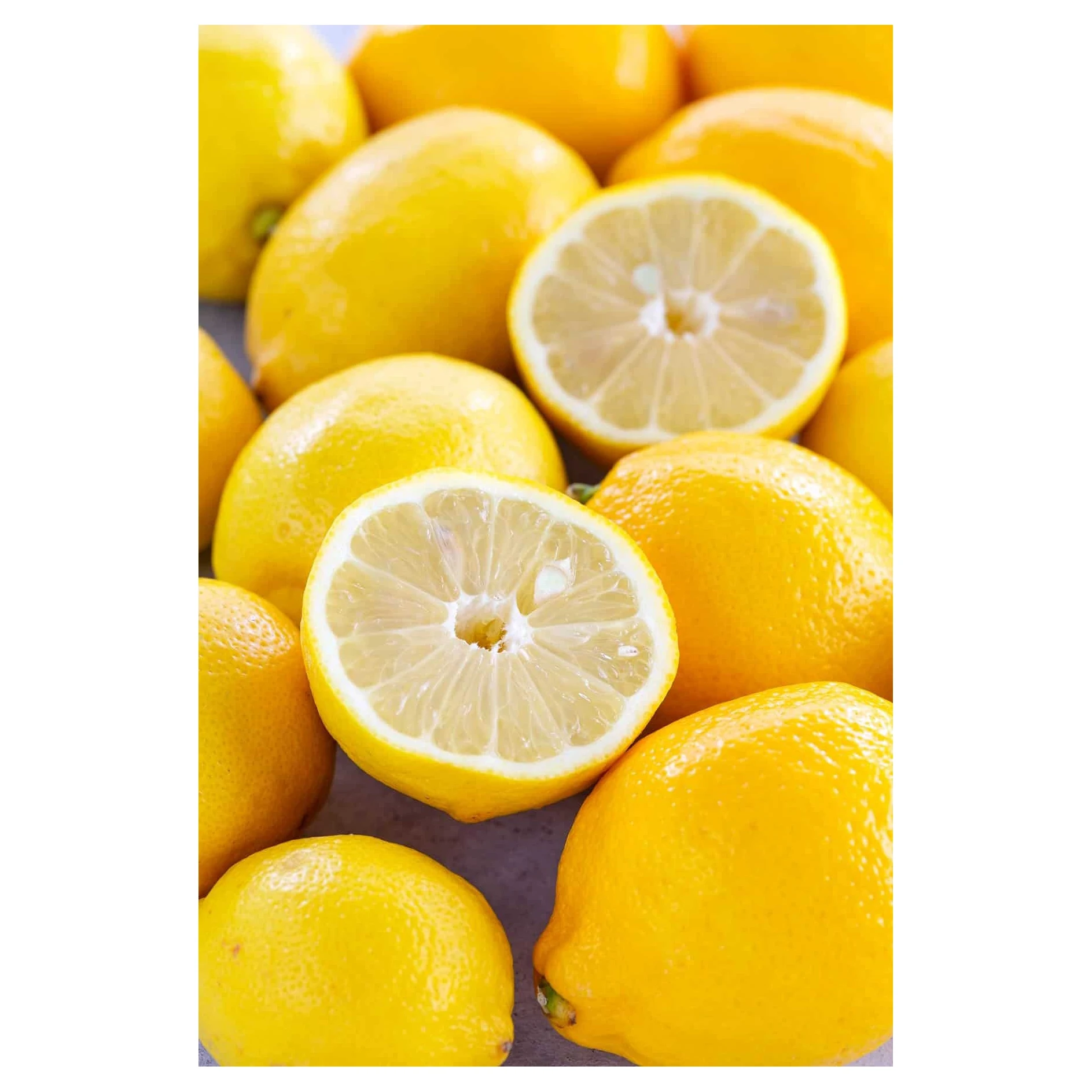 FRESH LIME /FRESH CITRUS FRUIT/ FRESH GREEN LEMON High Quality With Best Price At  Factory Ready To Export