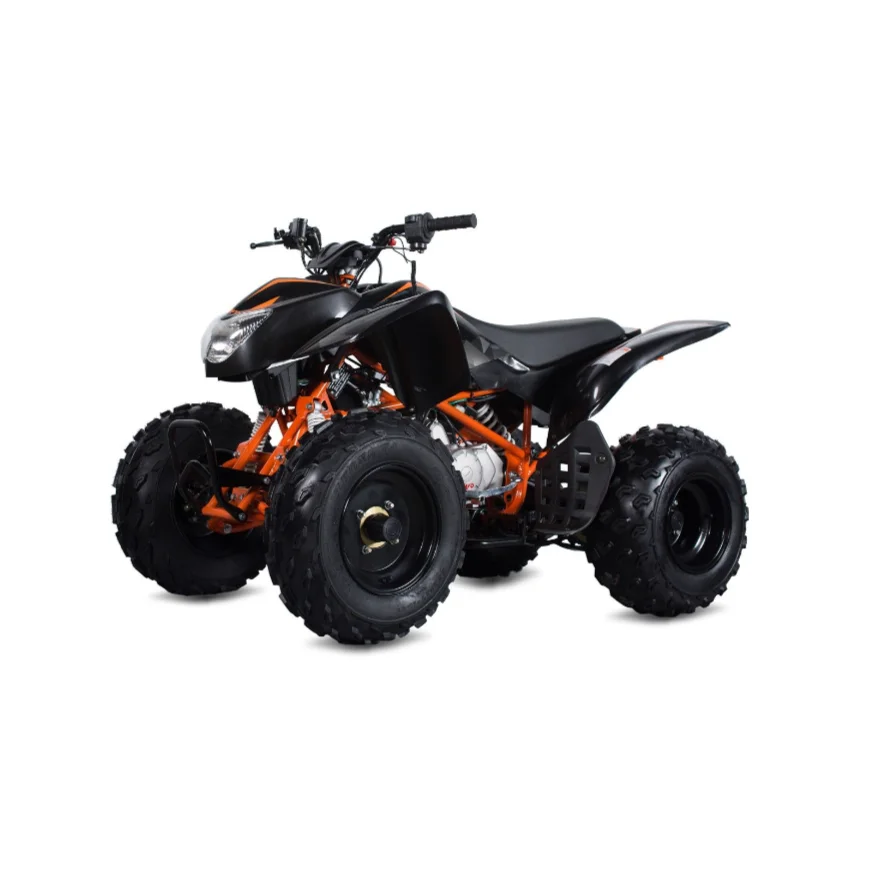 Quad ATV Bike 250CC Exporter
