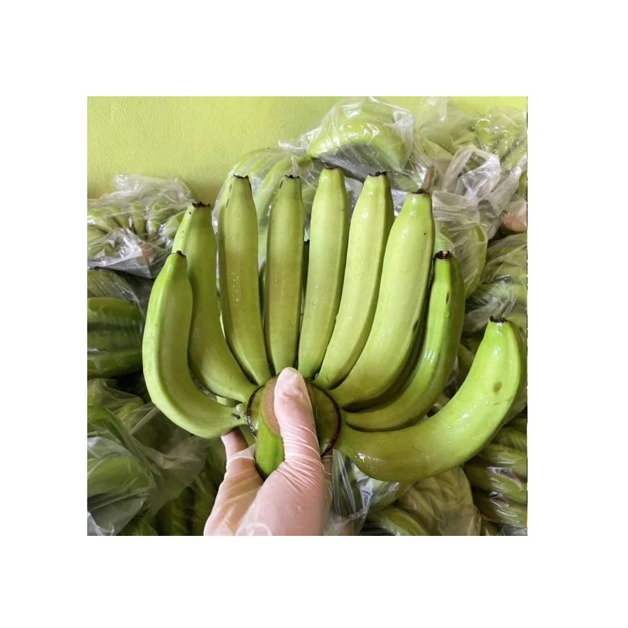 Fresh Bananas Delicious and Sweet Taste Cavendish Banana Prices Natural 100 % Fresh From Thailand Farm
