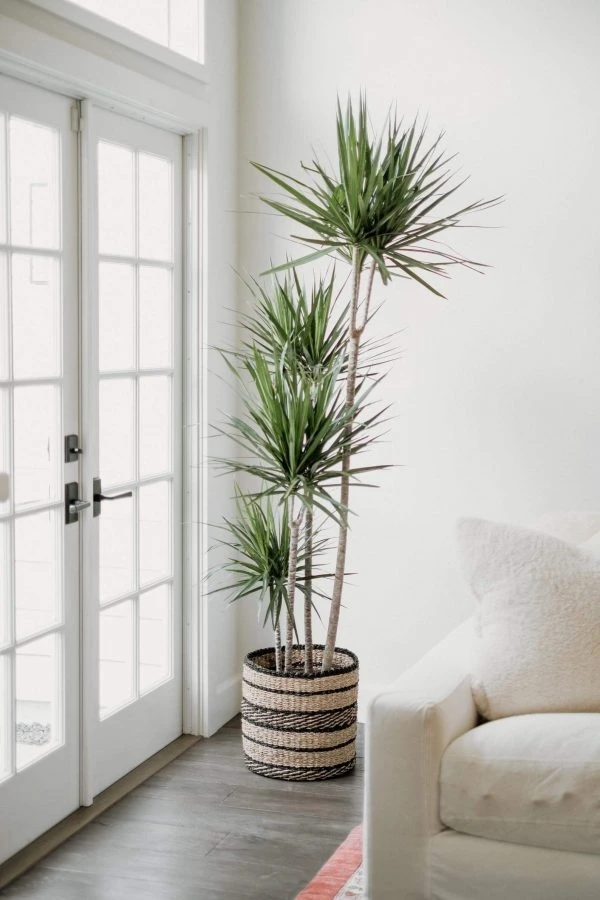 Latest Collection Wicker Seagrass Woven Baskets Hand Weaving Pots Planters Wholesale Home Storage Organization Made In Vietnam