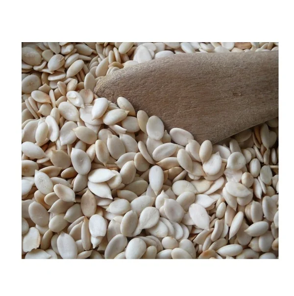 Best Price Organic Dried Melon Seeds Bulk Stock Available With Customized Packing