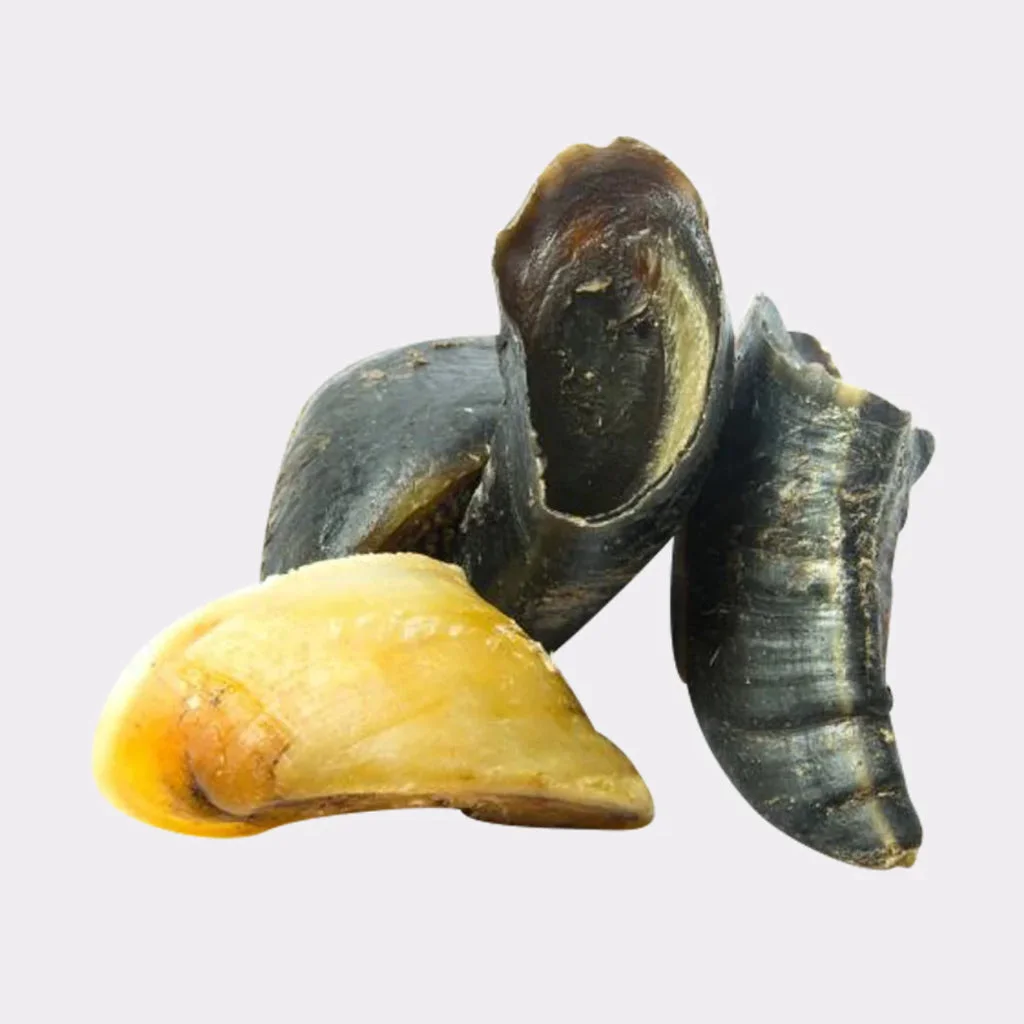 Dog Crunchy Hoof Chews Hoof Snacks Buffalo Hoof Bones Natural Chewing Experience Pet Health Chews Hypoallergenic Treats