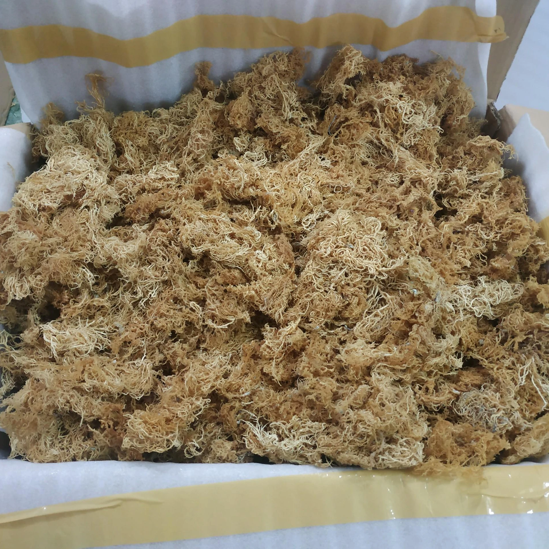 SEAMOSS 100% натуральный/горячая 2023/дешево/высокое качество от VIET NAM / Serena