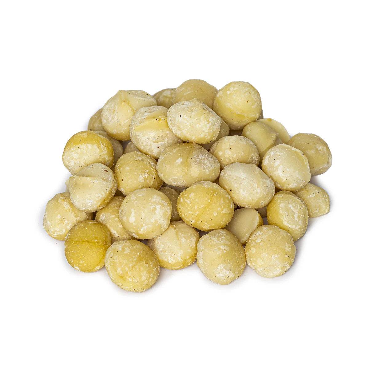 Bulk Macadamia Nuts for Sale Wholesale Premium Macadamia Nuts Ideal for Food Processing and Retail Needs