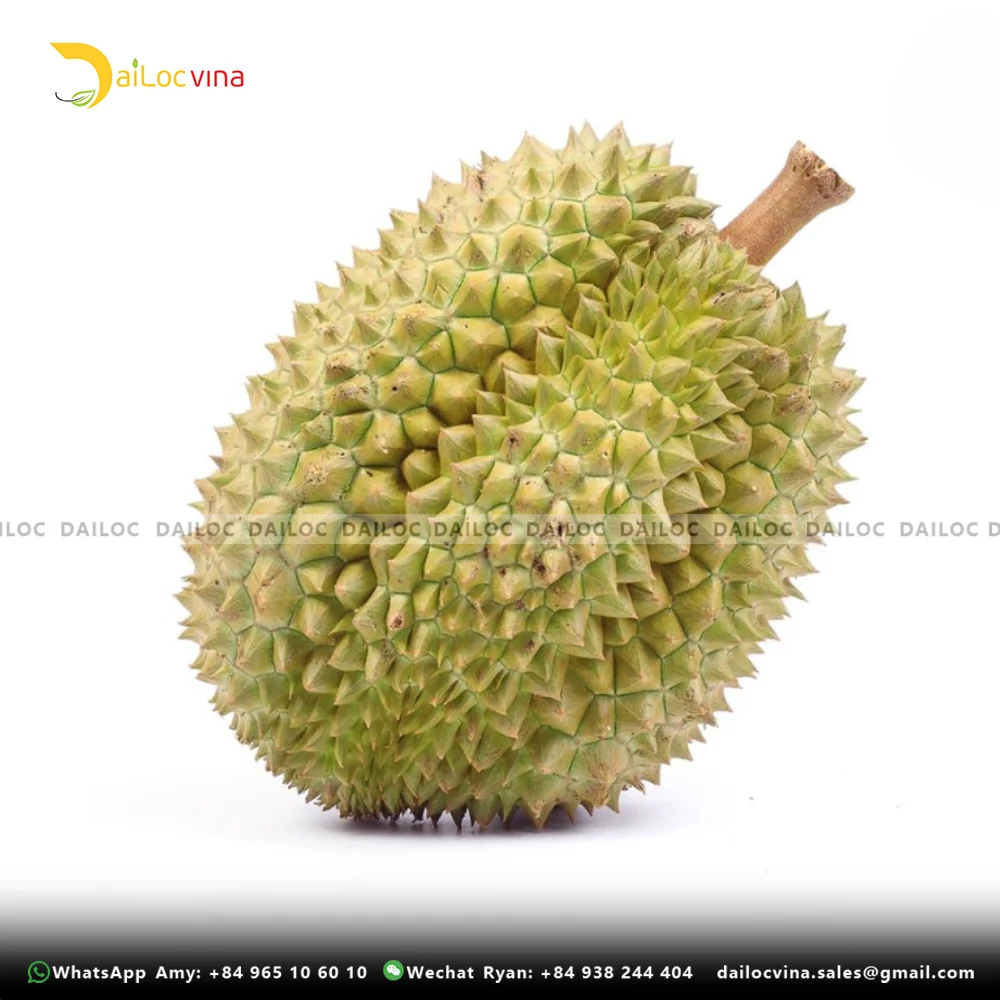 FAMOUS TROPICAL ASIA FRUIT PREMIUM HIGH WHOLE MUSANG KING DURIAN SWEET AND THICK FLAVOR