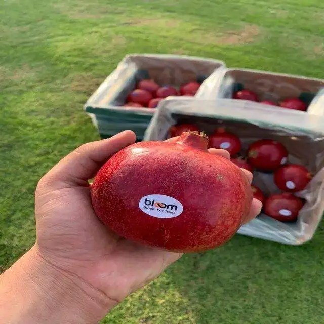 Fresh Red Sweet Pomegranate