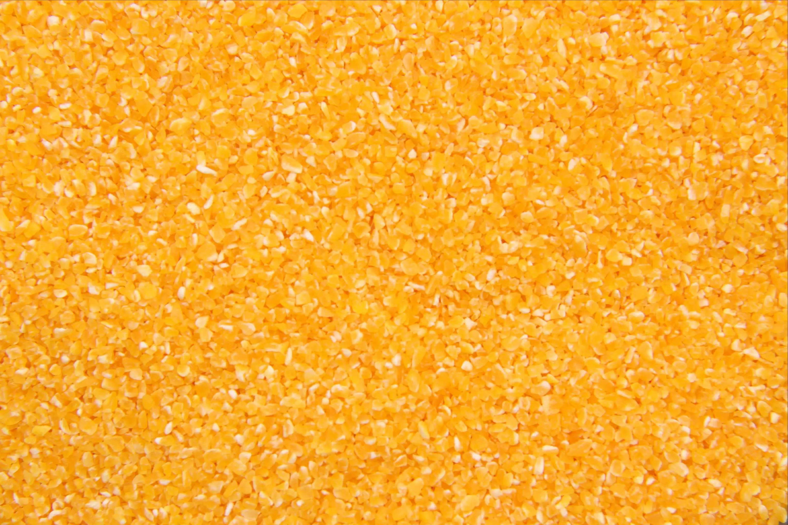 Yellow Corn DDGS with 12% Max Moisture and 50% Max Protein Animal Feed