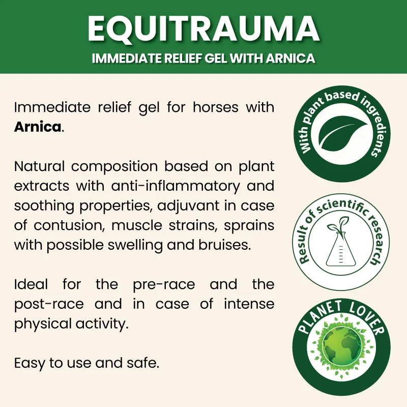 Top quality made in Italy plant based formulation EQUITRAUMA natural gel with arnica for horses